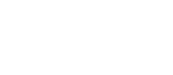 The Hospital Finance Academy